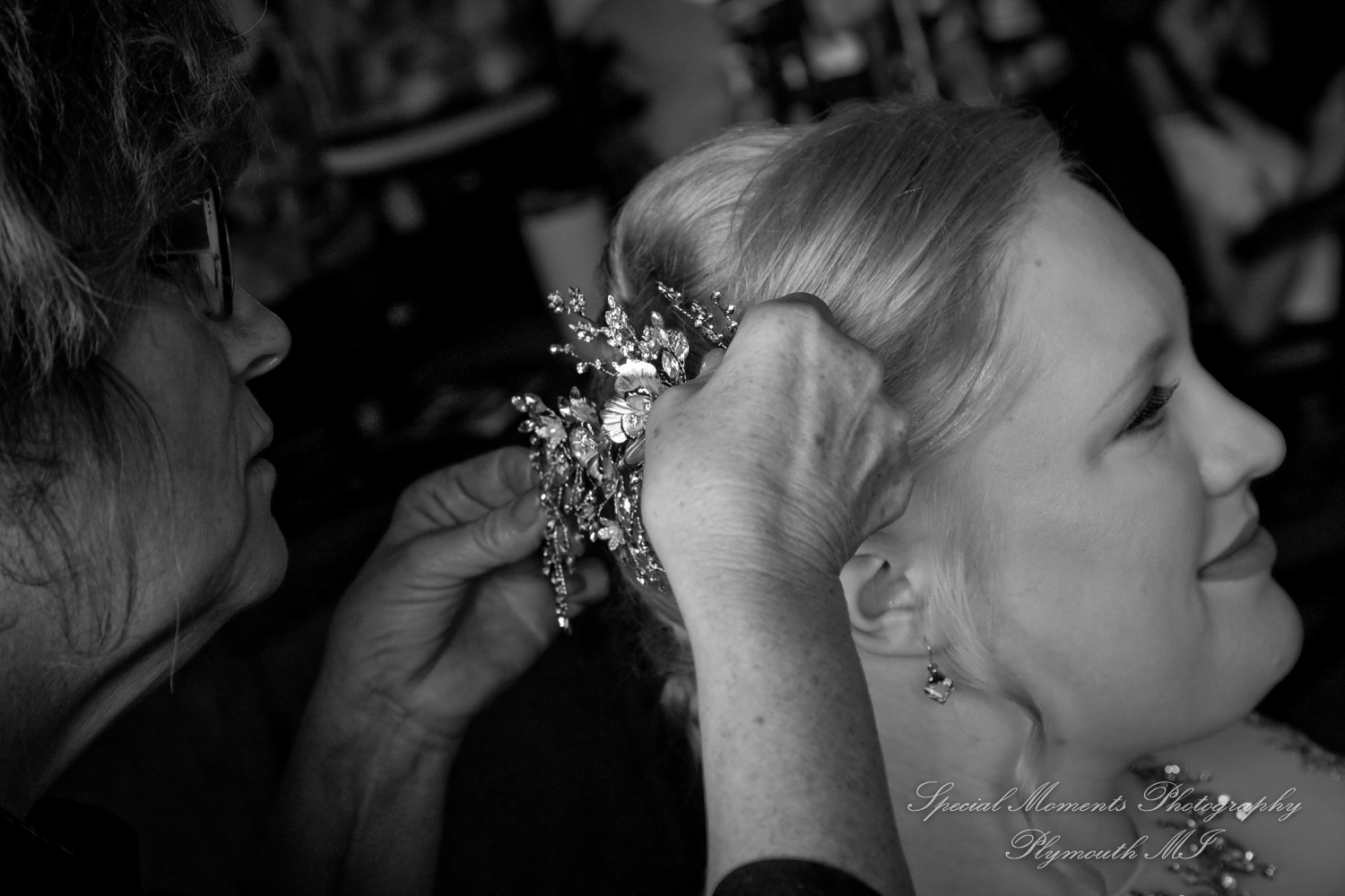 Anne & Alan at American Polish Cultural Center Troy MI wedding photography