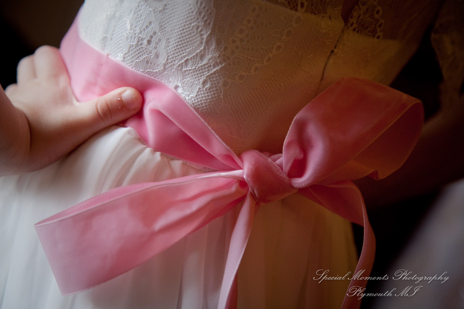 Anne & Alan at American Polish Cultural Center Troy MI wedding photography