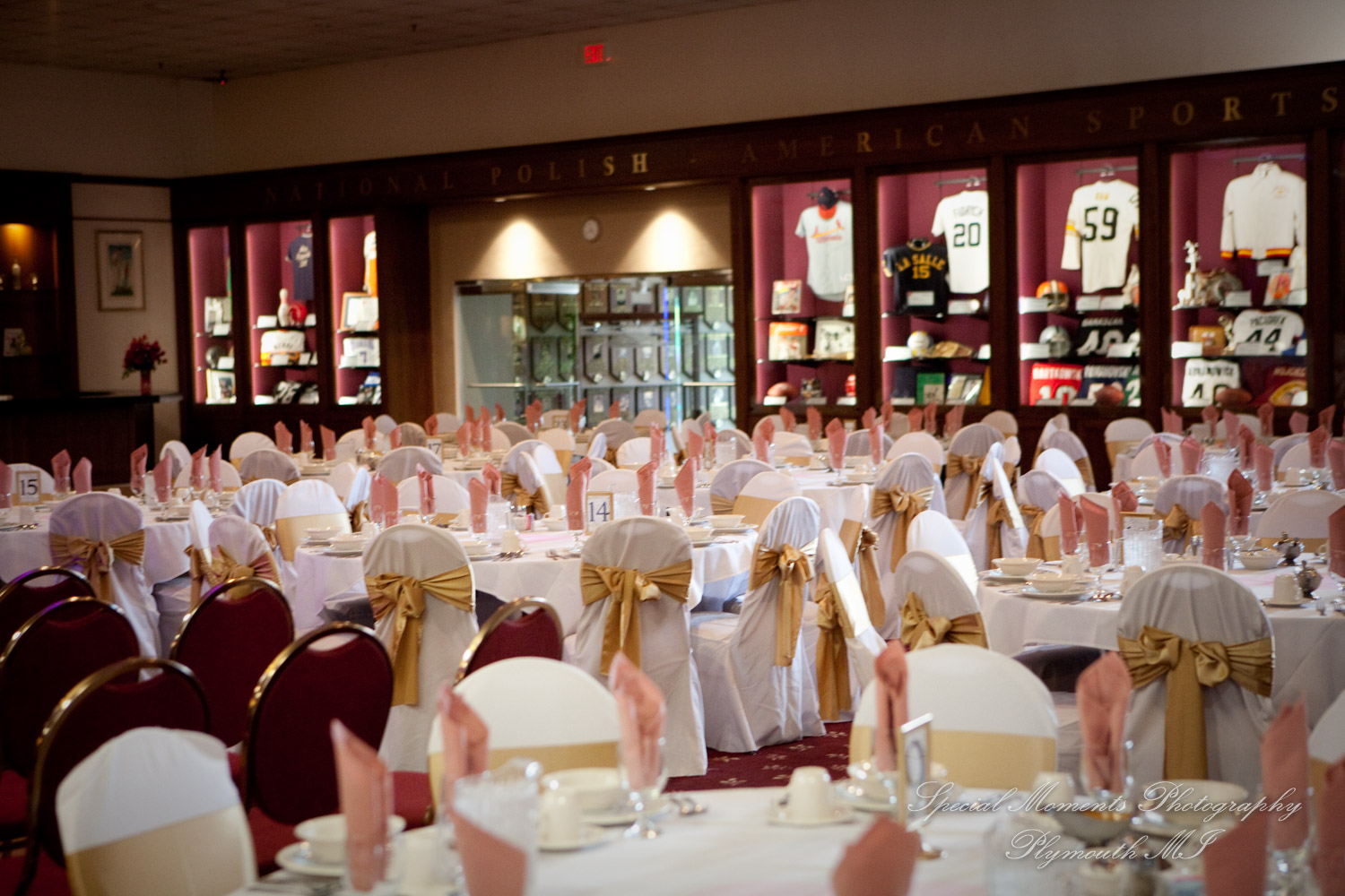 Anne & Alan at American Polish Cultural Center Troy MI wedding photography