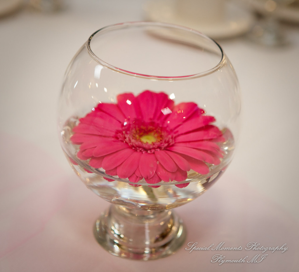 Anne & Alan at American Polish Cultural Center Troy MI wedding photography