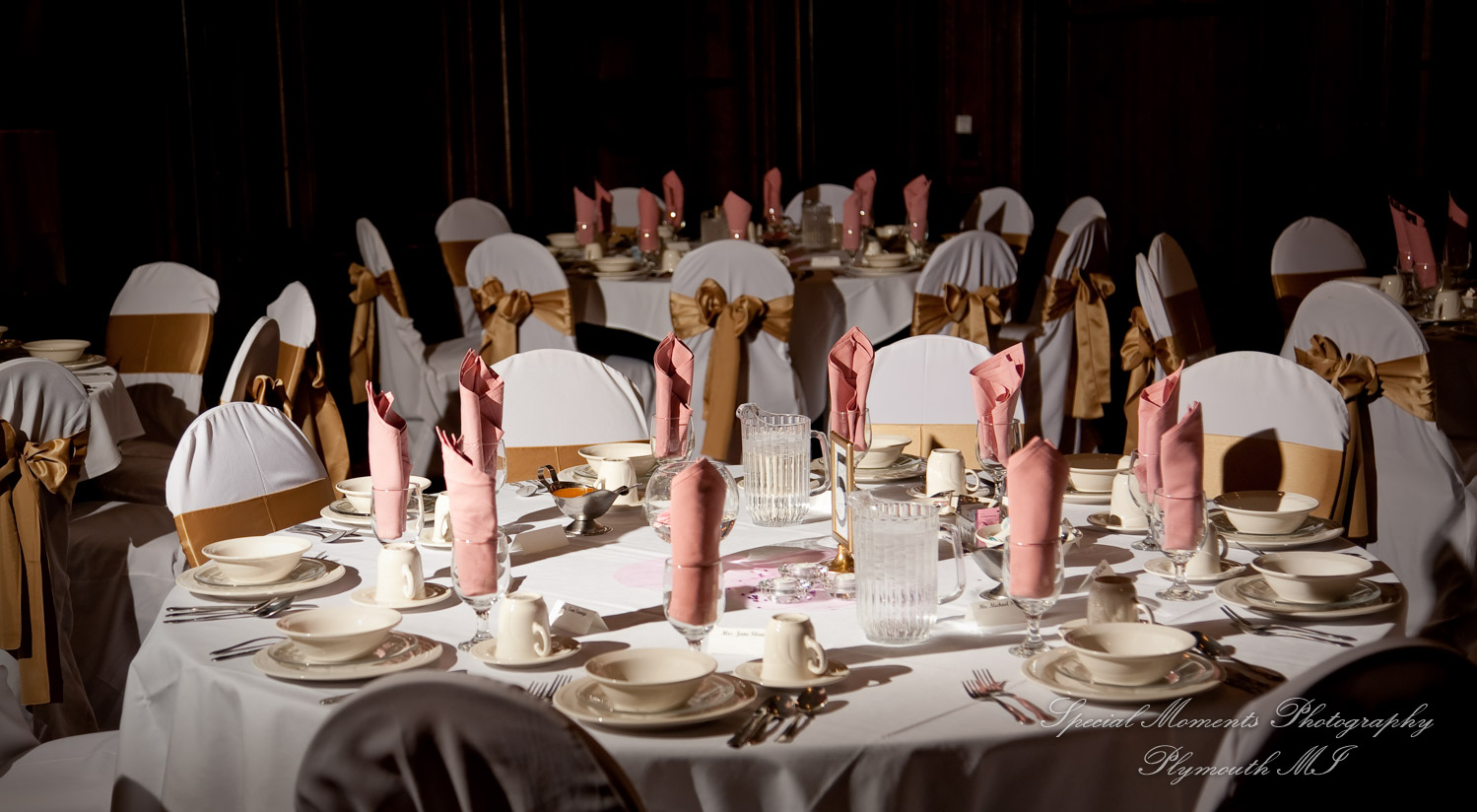 Anne & Alan at American Polish Cultural Center Troy MI wedding photography