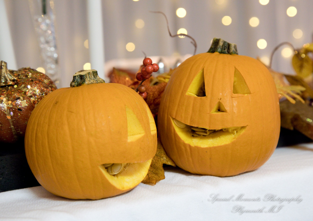 Melissa & Jeremy at Tri-county Sportsmen's League Saline MI wedding photography