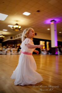 Anne & Alan at American Polish Cultural Center Troy MI wedding photography