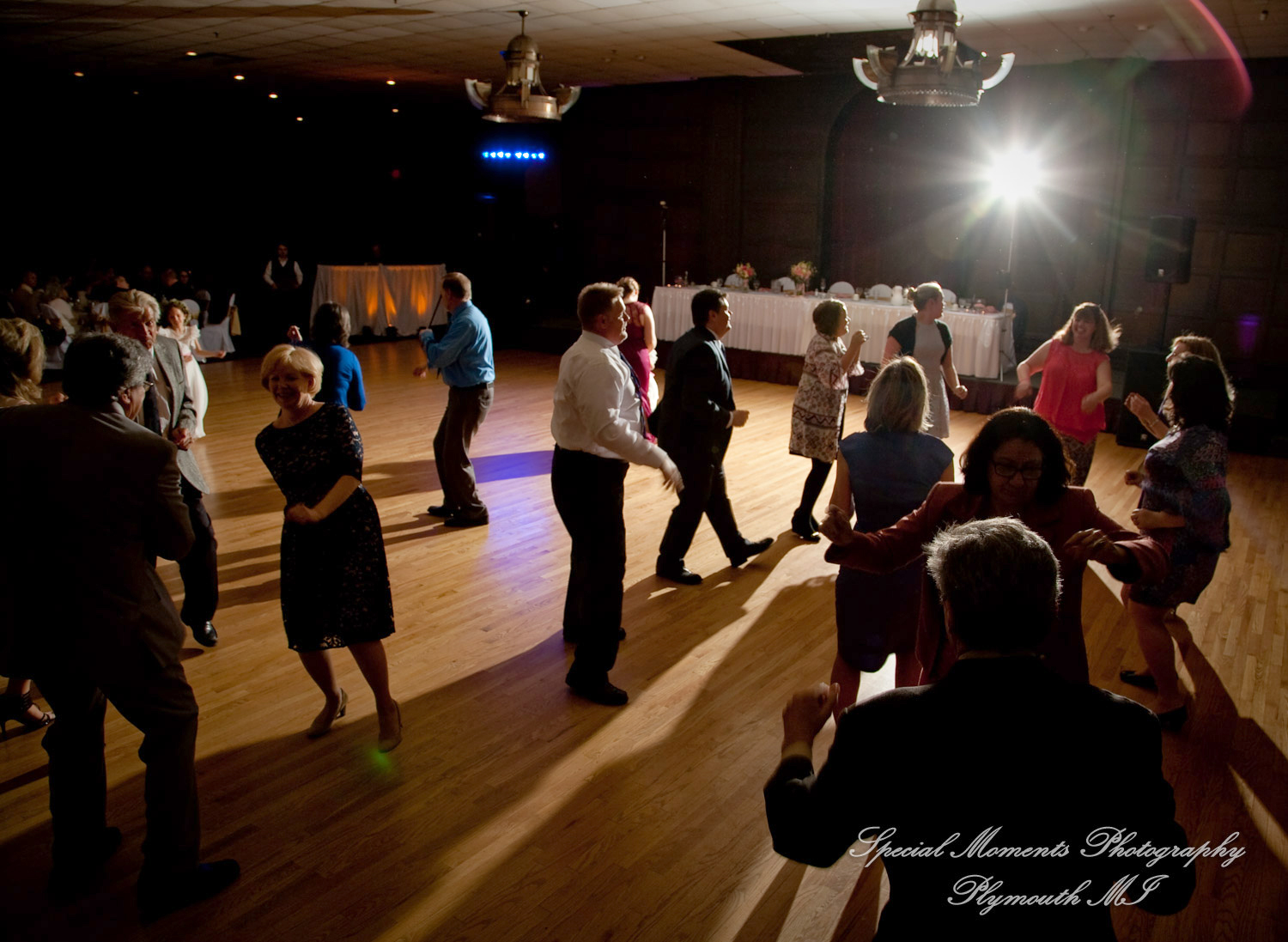 Anne & Alan at American Polish Cultural Center Troy MI wedding photography