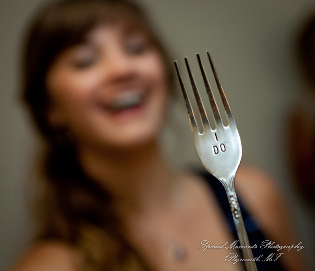 Mary & Jarrett at Kensington Hotel Ann Arbor MI wedding photography