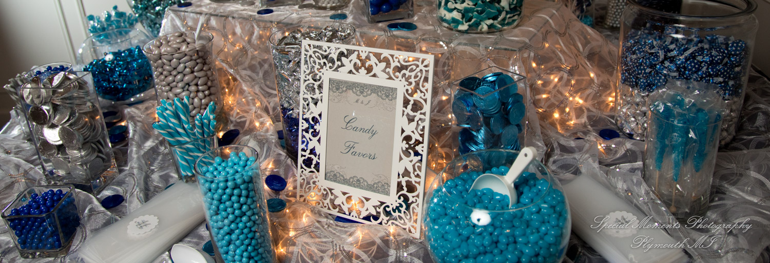 Mary & Jarrett at Kensington Hotel Ann Arbor MI wedding photography