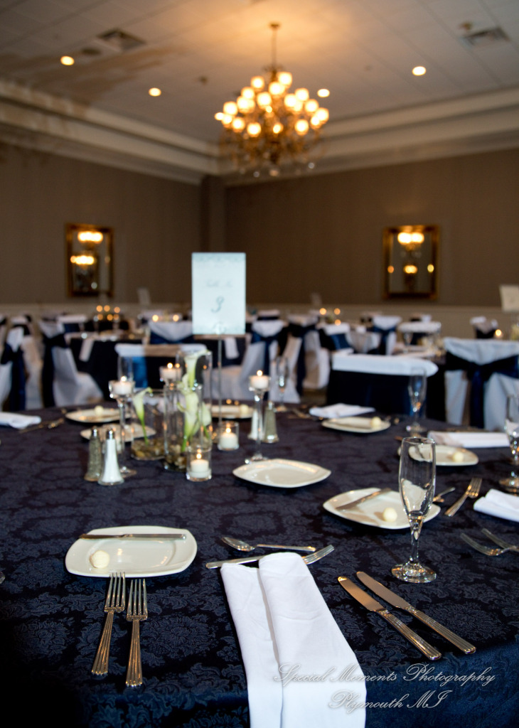 Mary & Jarrett at Kensington Hotel Ann Arbor MI wedding photography