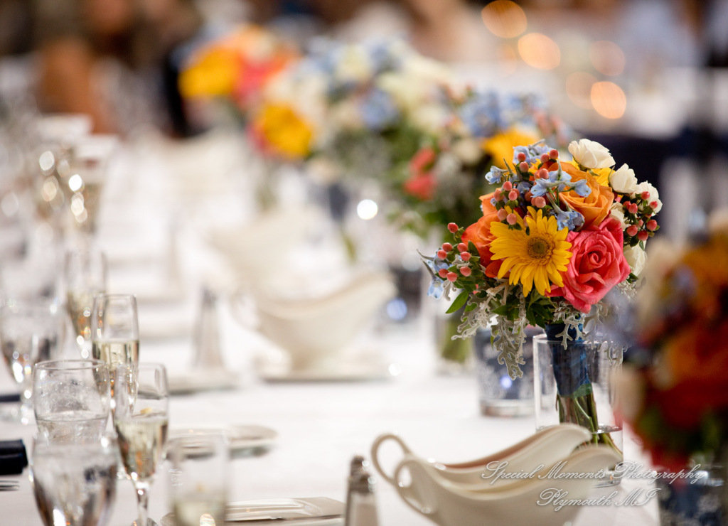 Mary & Jarrett at Kensington Hotel Ann Arbor MI wedding photography