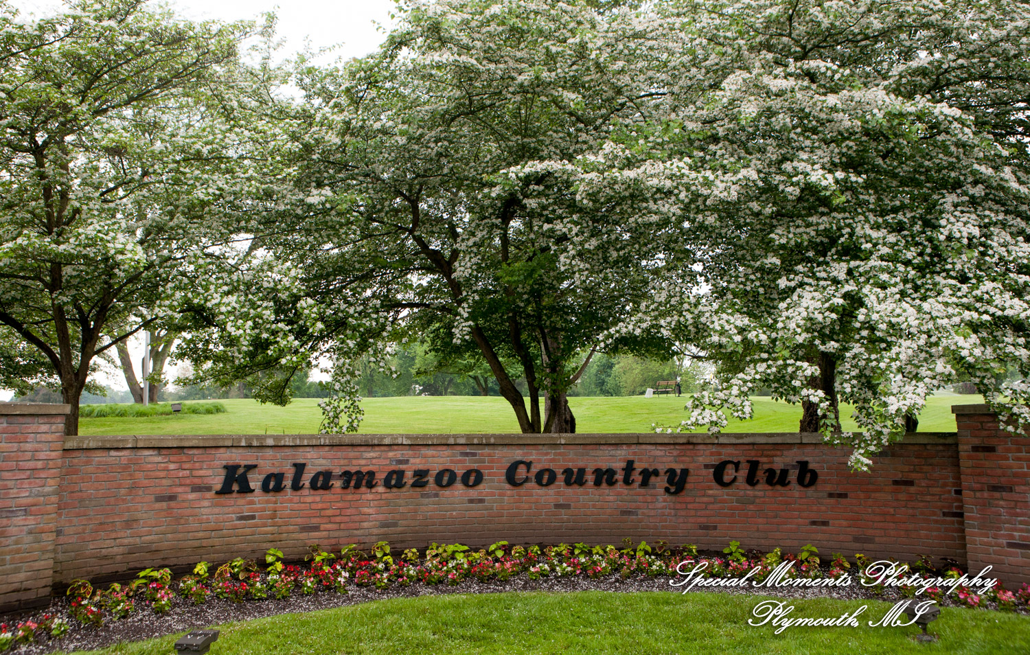 Emily & Scott at Kalamazoo Country Club Kalamazoo MI wedding photography