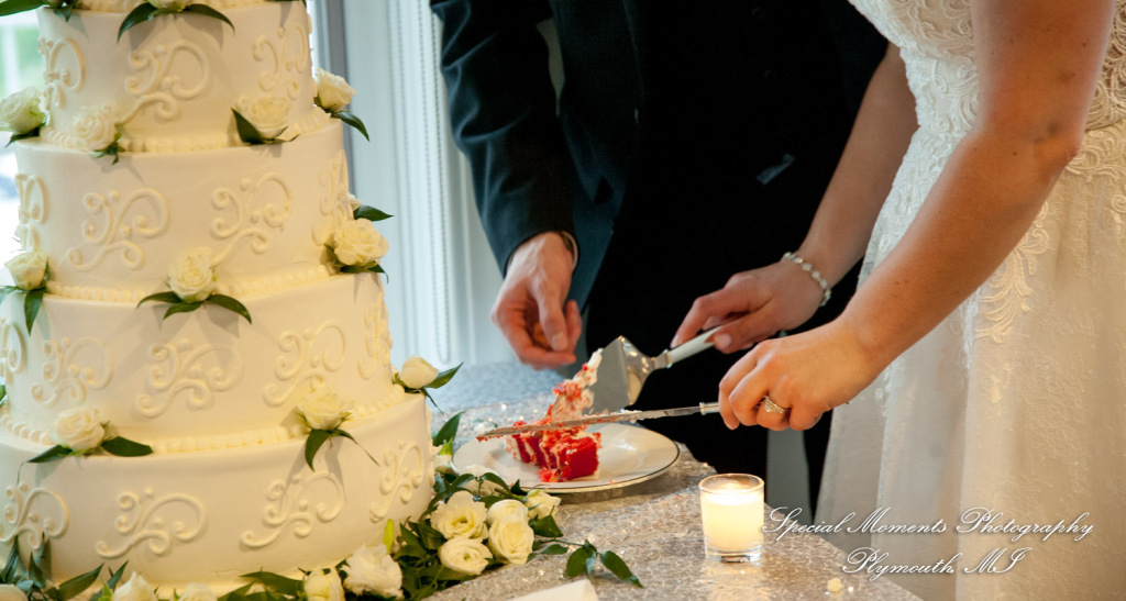 Emily & Scott at Kalamazoo Country Club Kalamazoo MI wedding photography