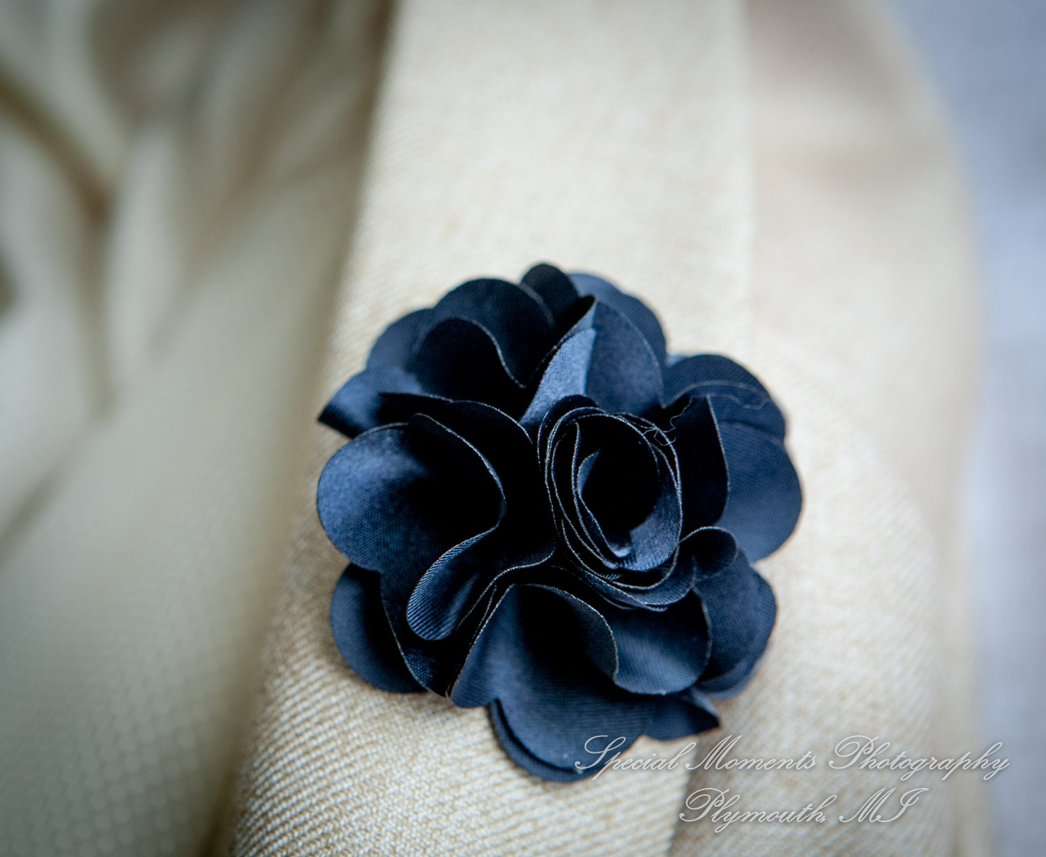 Maria & Dominique at Bentley Banquet Conference Center Wyandotte MI wedding photography