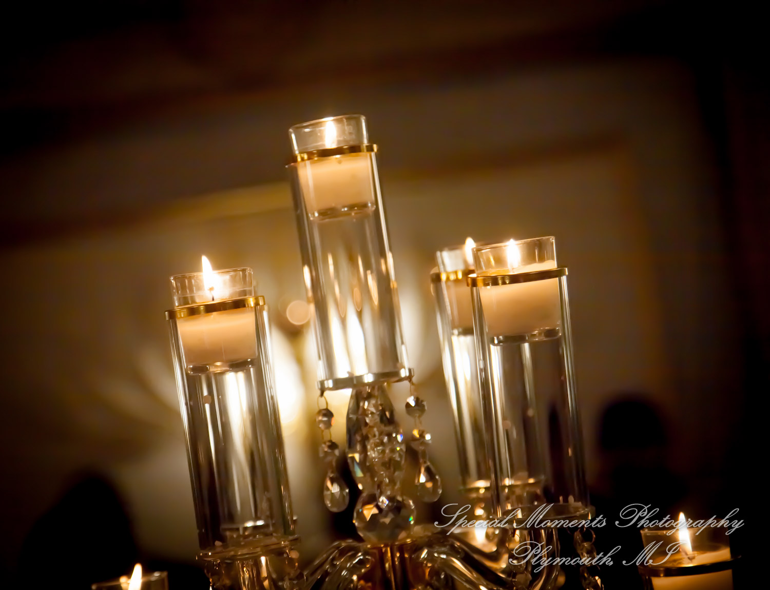 Maria & Dominique at Bentley Banquet Conference Center Wyandotte MI wedding photography