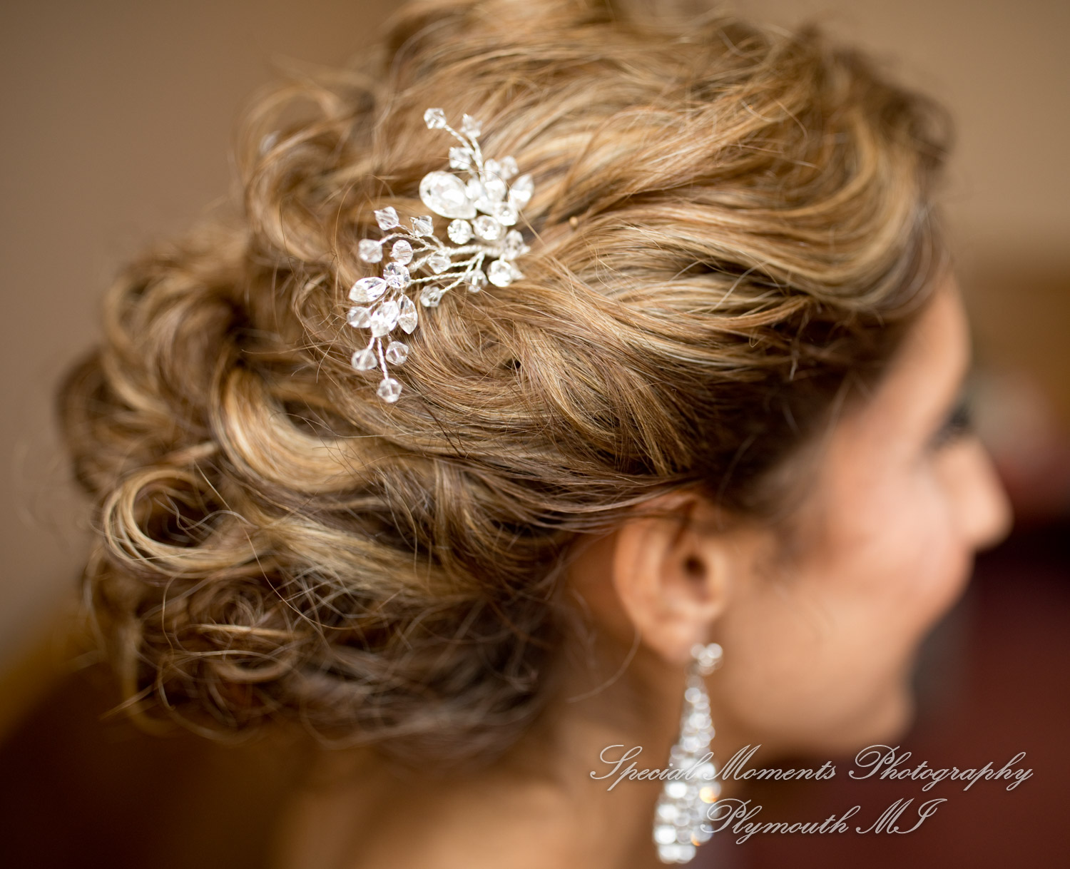 Erika & Mark at St. Nicholas Greek Orthodox Troy wedding photography