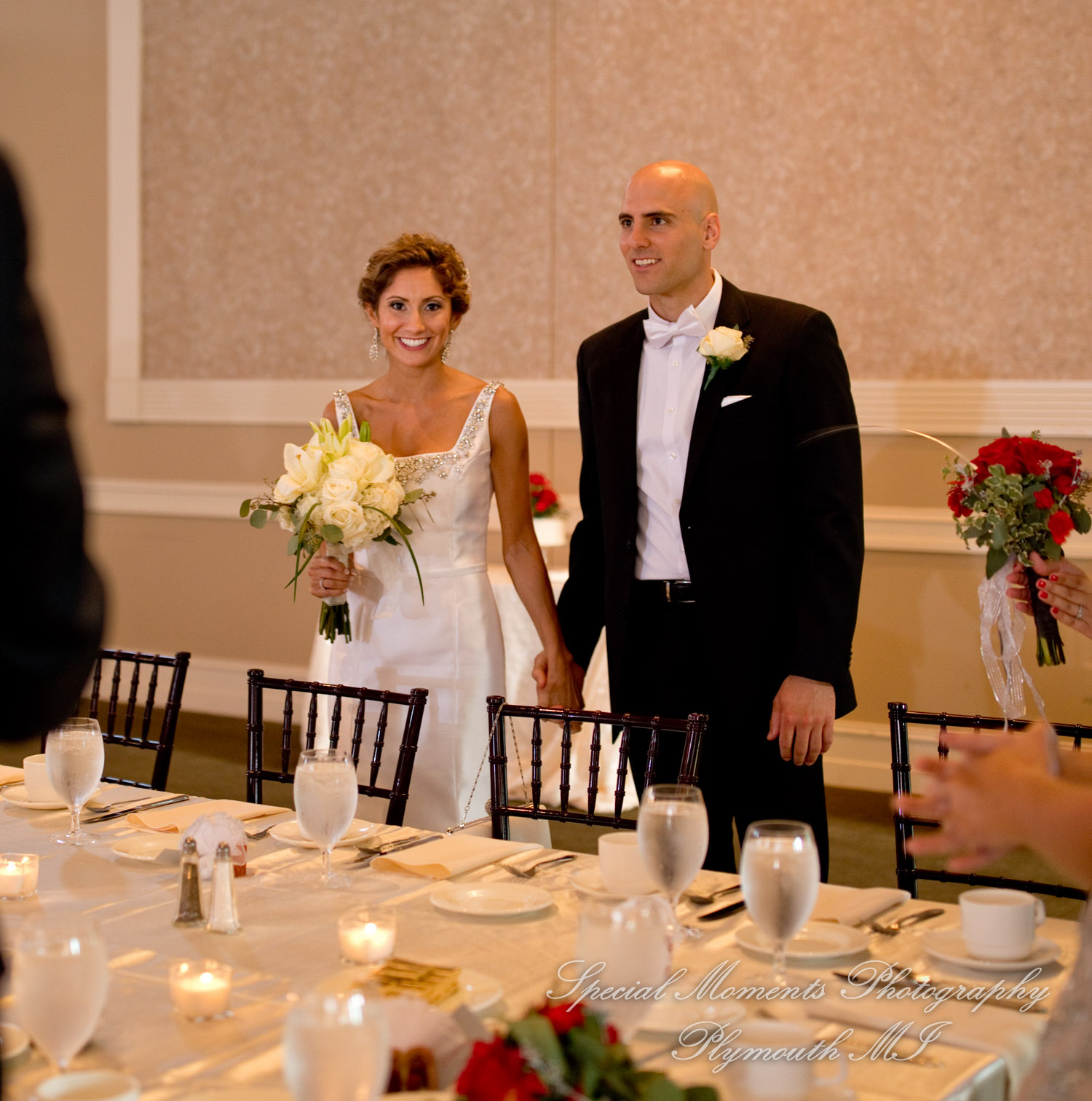 Erika & Mark at St. Nicholas Greek Orthodox Troy wedding photography