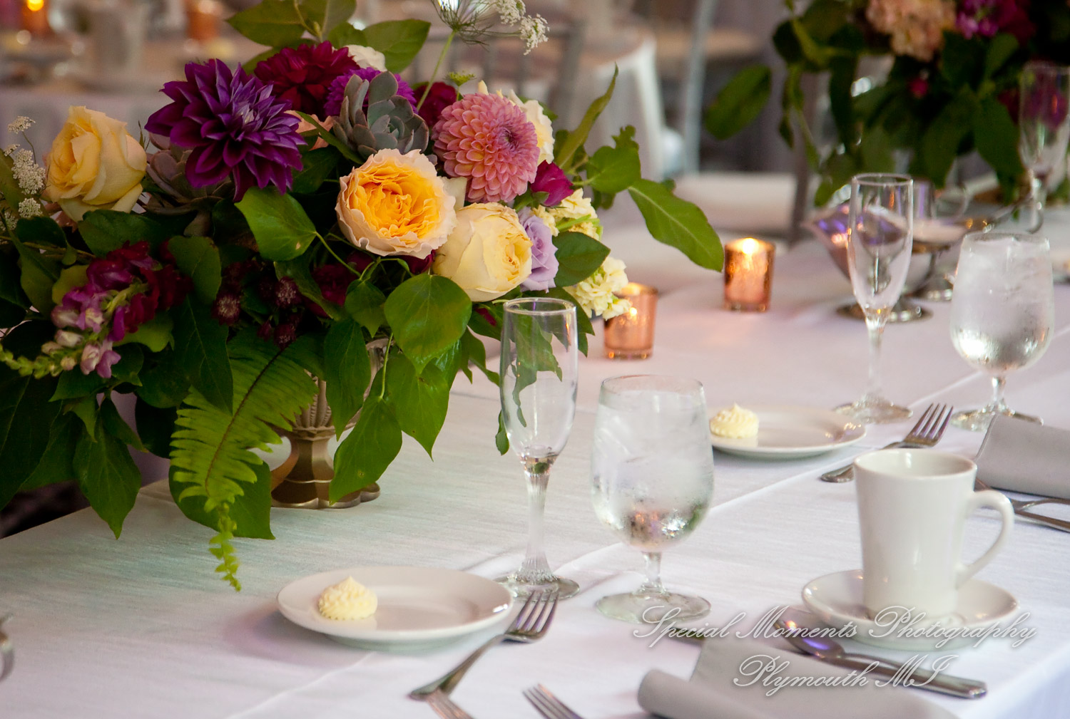 Molly & Daniel at Polo Fields Golf & Country Club Ann Arbor MI wedding photography