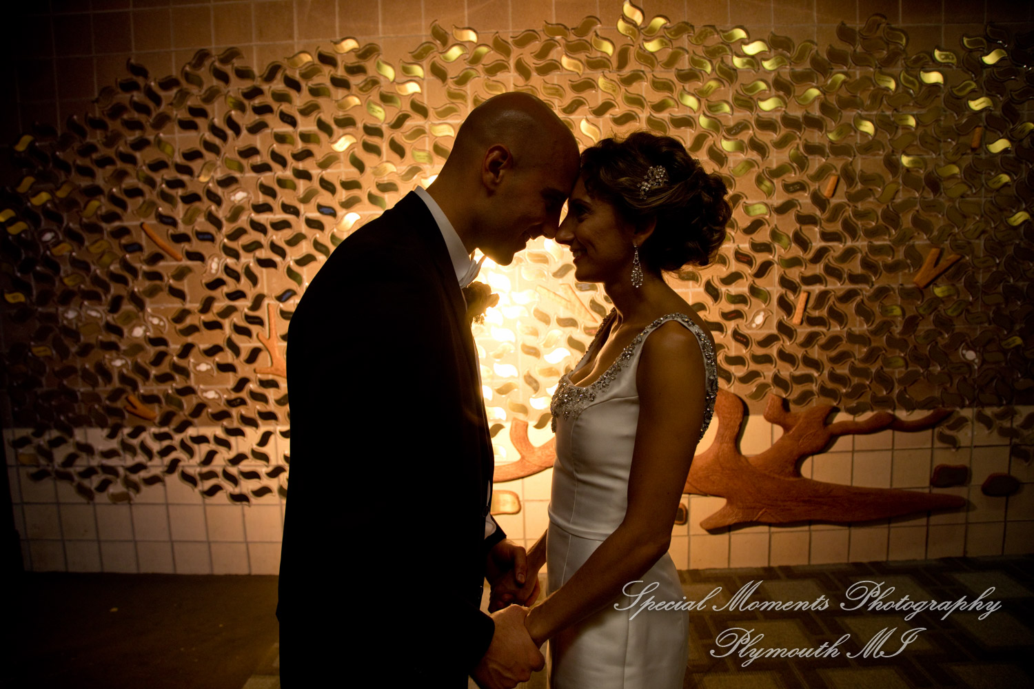 Erika & Mark at St. Nicholas Greek Orthodox Troy wedding photography