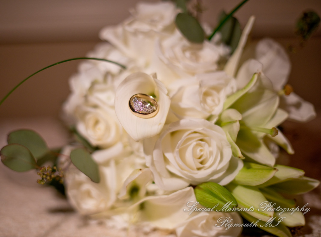 Erika & Mark at St. Nicholas Greek Orthodox Troy wedding photography