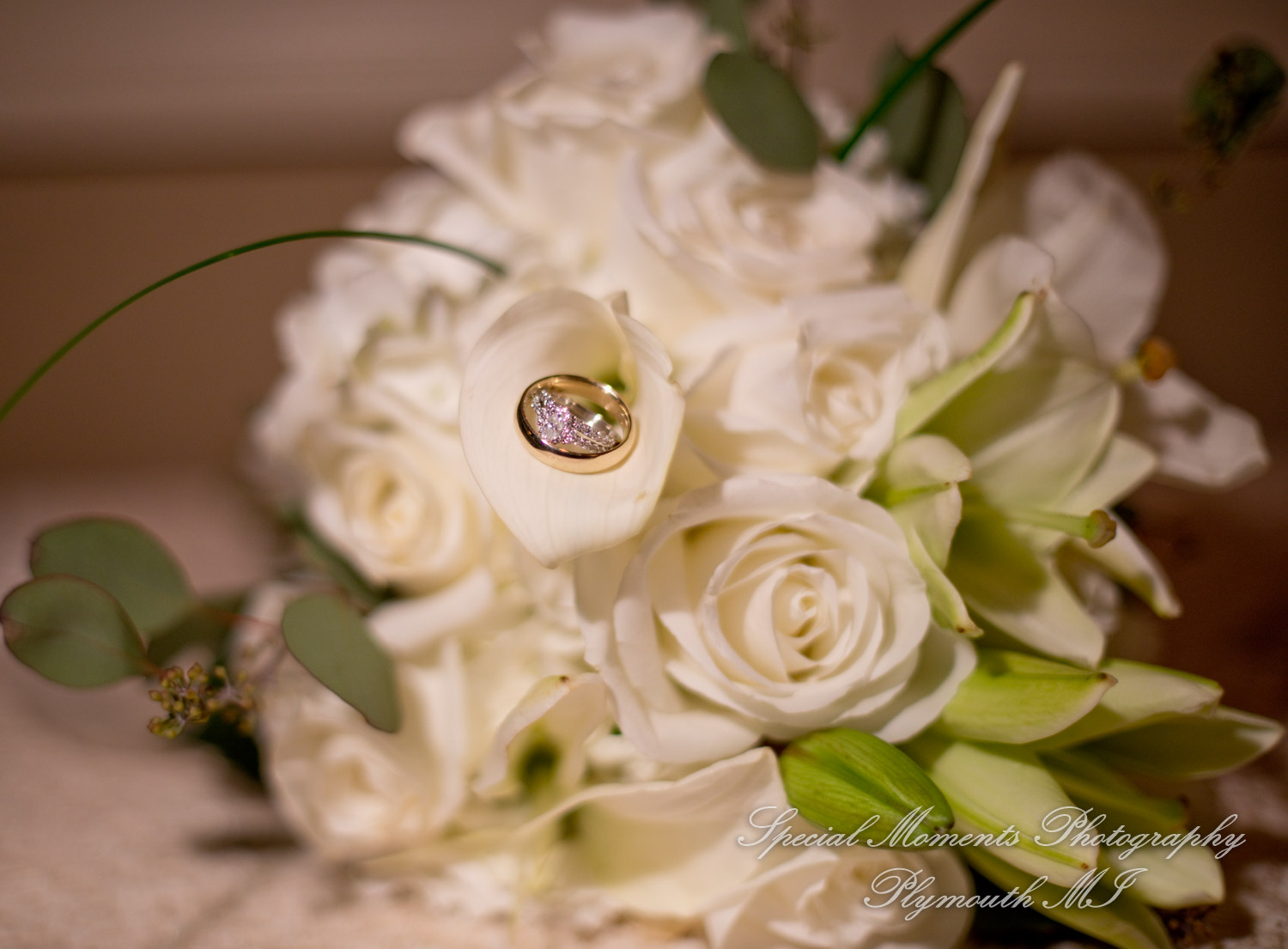 Erika & Mark at St. Nicholas Greek Orthodox Troy wedding photography
