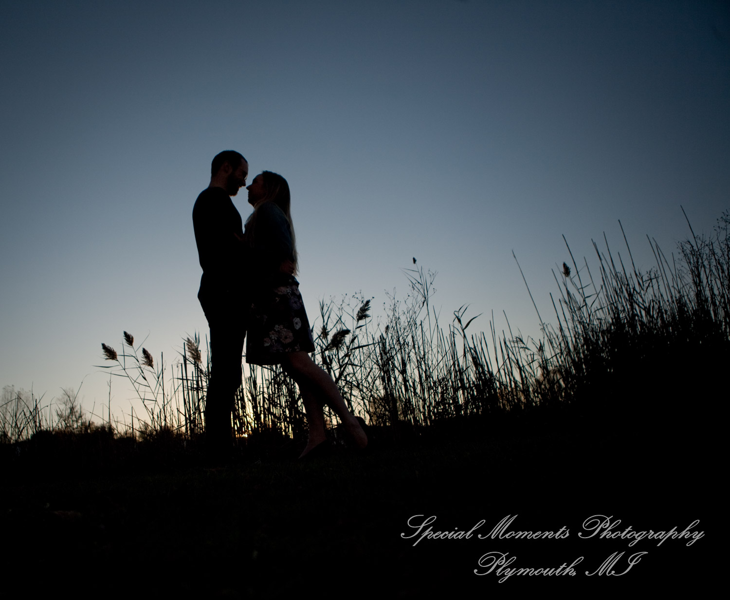 Elizabeth & Joe at Robert Long Park Commerce Twp. MI engagement photography