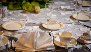 Emily & Christopher at Bay Pointe Golf Club West Bloomfield MI wedding photography