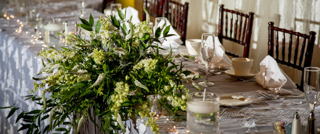 Emily & Christopher at Bay Pointe Golf Club West Bloomfield MI wedding photography