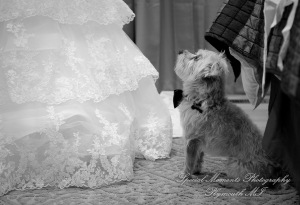 Stefanie & David at St. John Greek Orthodox Sterling Hts. MI wedding photography