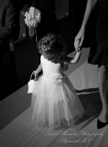 Stefanie & David at St. John Greek Orthodox Sterling Hts. MI wedding photography