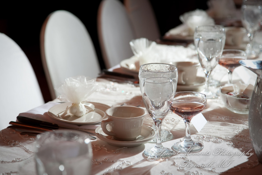 Stefanie & David at Larsa Palace Banquet Facility Warren MI wedding photography