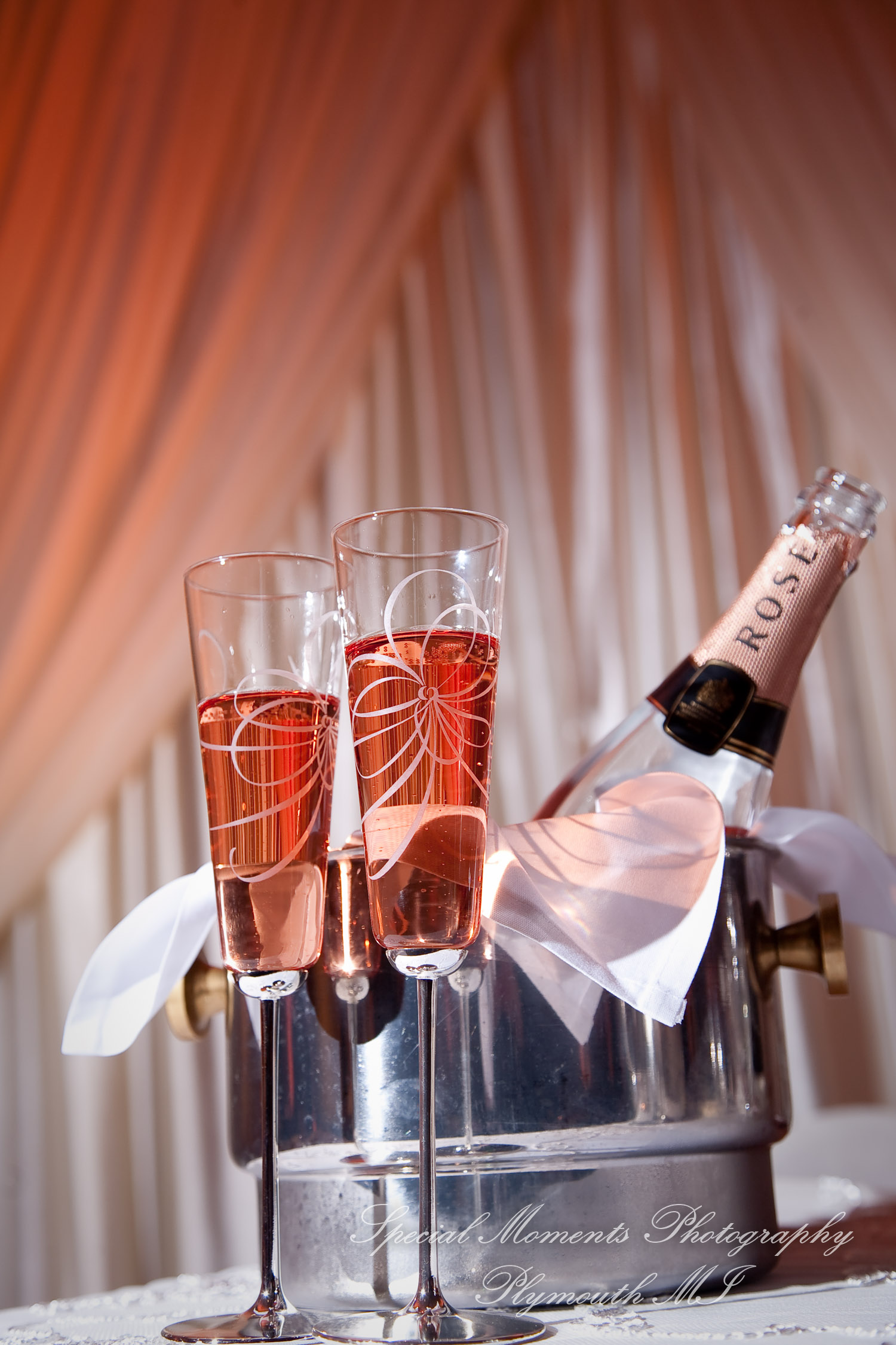 Stefanie & David at Larsa Palace Banquet Facility Warren MI wedding photography