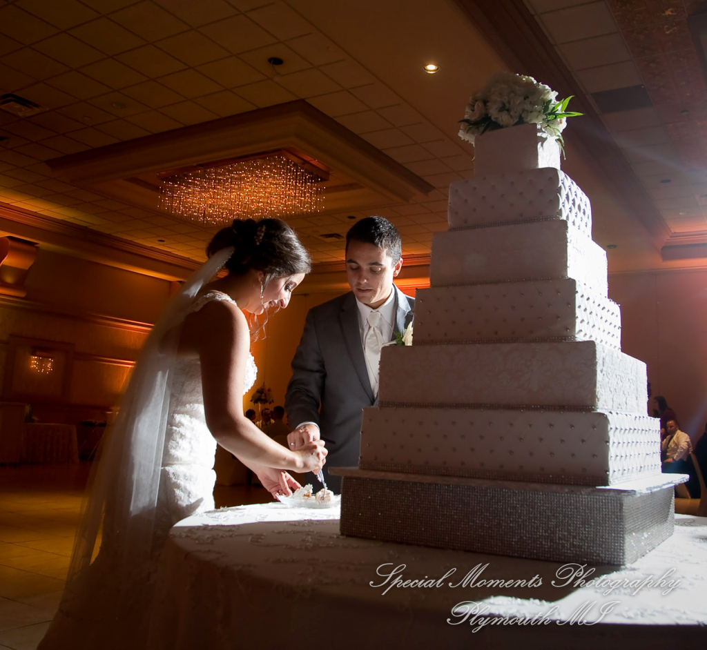 Stefanie & David at Larsa Palace Banquet Facility Warren MI wedding photography