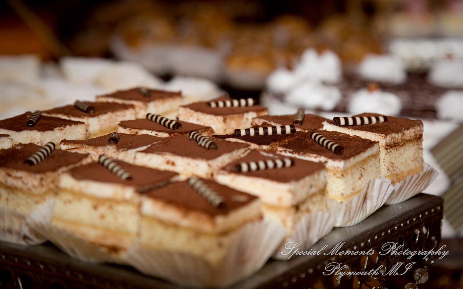 Stefanie & David at Larsa Palace Banquet Facility Warren MI wedding photography