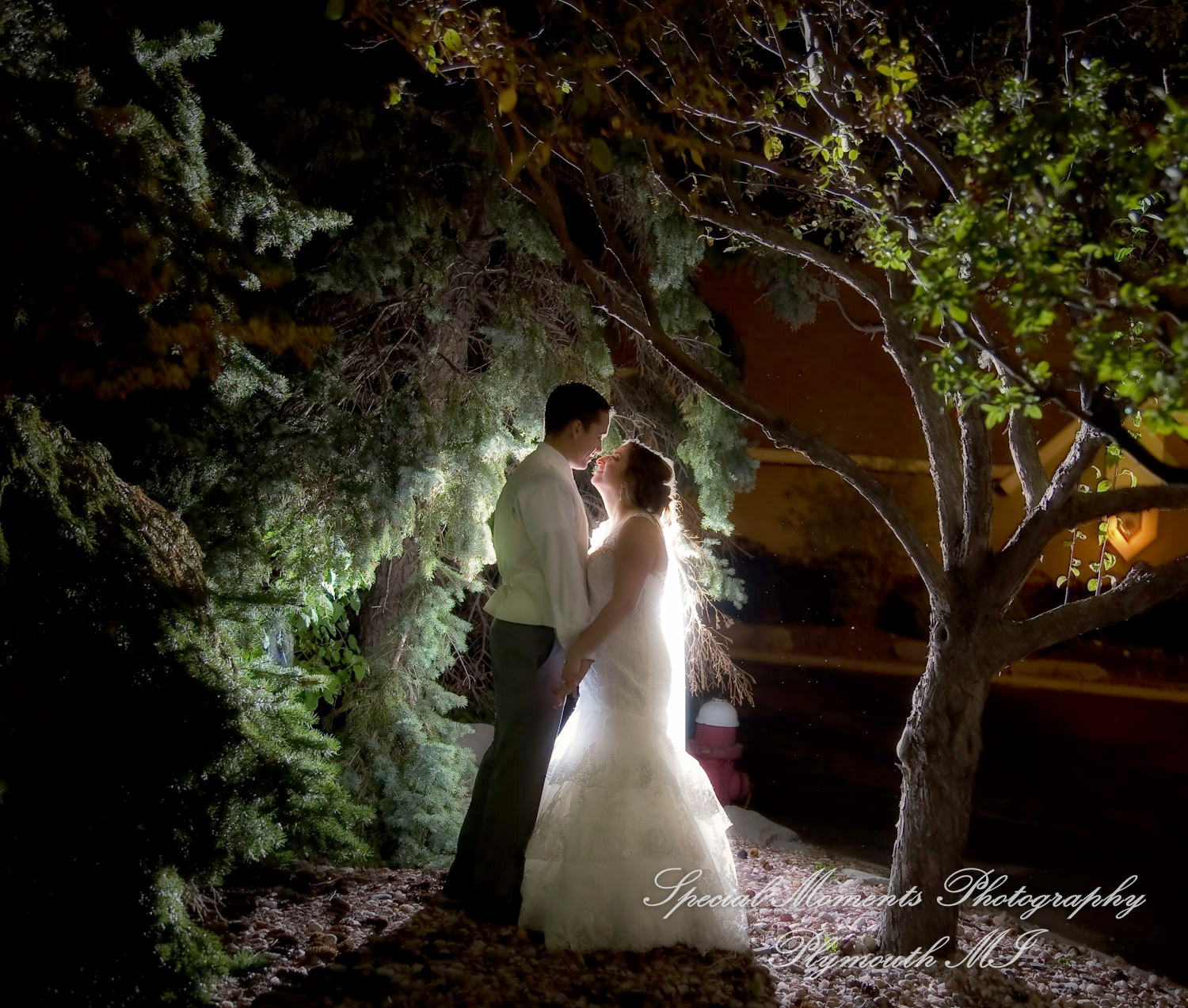 Stefanie & David at Larsa Palace Banquet Facility Warren MI wedding photography