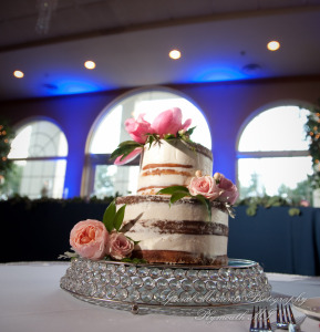 Kristine & Jeff at Italian American Club Livonia MI wedding photography