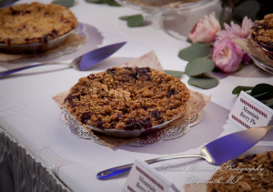 Kristine & Jeff at Italian American Club Livonia MI wedding photography