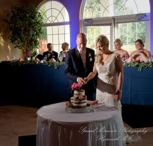 Kristine & Jeff at Italian American Club Livonia MI wedding photography