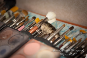 Sarah & Justin at Holiday Inn Express & Suites Southgate MI wedding photography