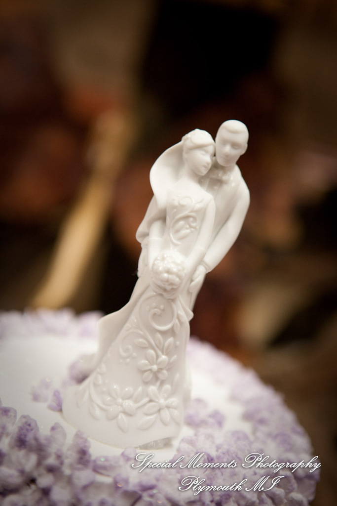 Sarah & Justin at Holiday Inn Express & Suites Southgate MI wedding photography