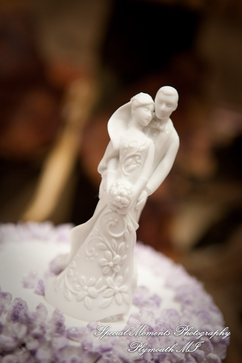 Sarah & Justin at Holiday Inn Express & Suites Southgate MI wedding photography