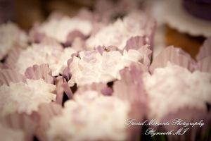 Sarah & Justin at Holiday Inn Express & Suites Southgate MI wedding photography