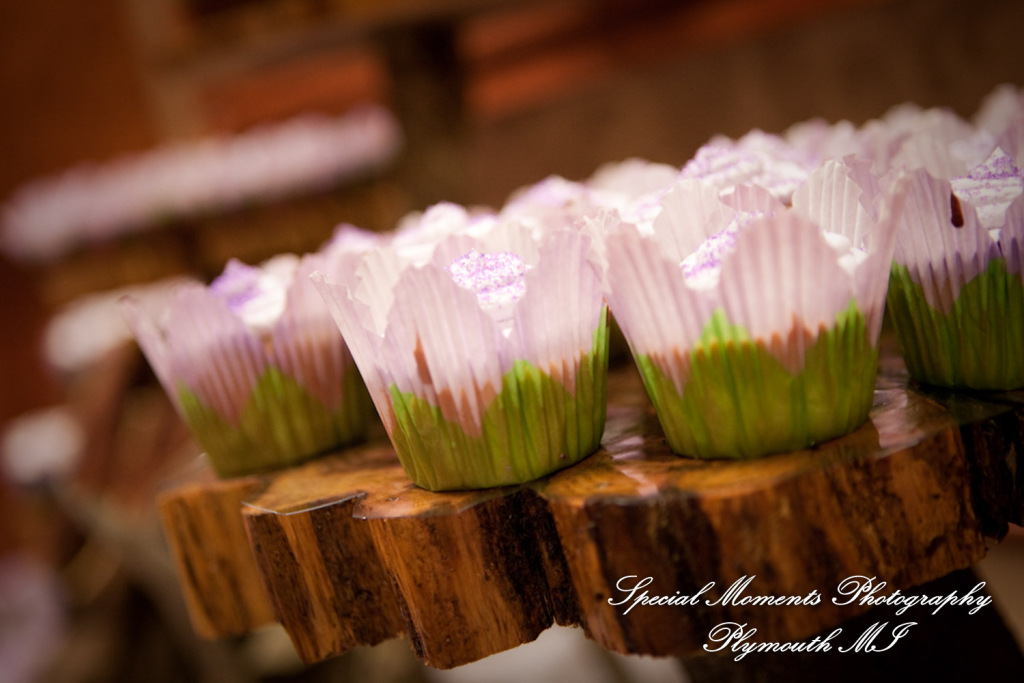 Sarah & Justin at Holiday Inn Express & Suites Southgate MI wedding photography