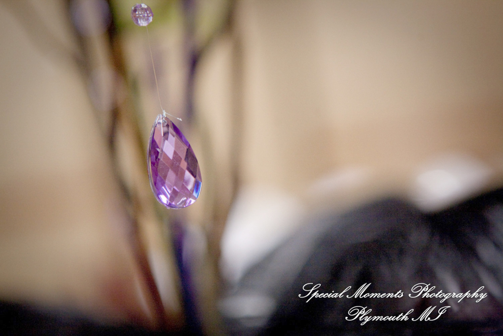 Sarah & Justin at Holiday Inn Express & Suites Southgate MI wedding photography