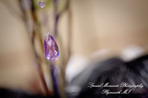 Sarah & Justin at Holiday Inn Express & Suites Southgate MI wedding photography