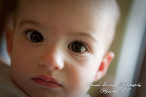 Sarah & Justin at Holiday Inn Express & Suites Southgate MI wedding photography