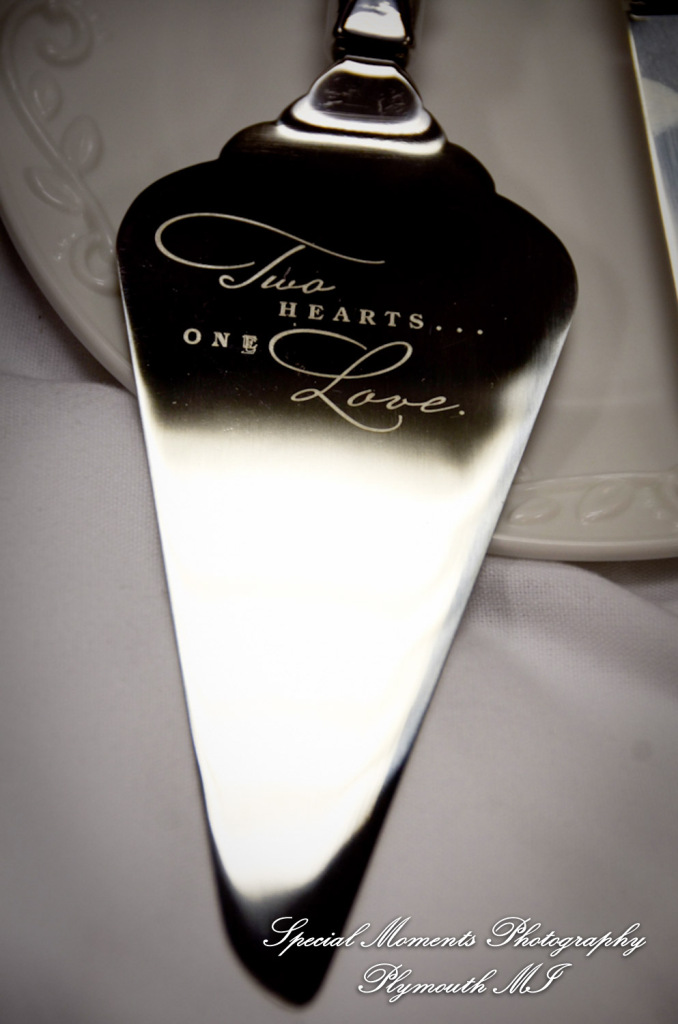 Sarah & Justin at Holiday Inn Express & Suites Southgate MI wedding photography