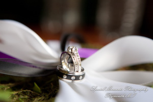 Sarah & Justin at Holiday Inn Express & Suites Southgate MI wedding photography