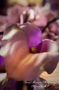 Sarah & Justin at Holiday Inn Express & Suites Southgate MI wedding photography