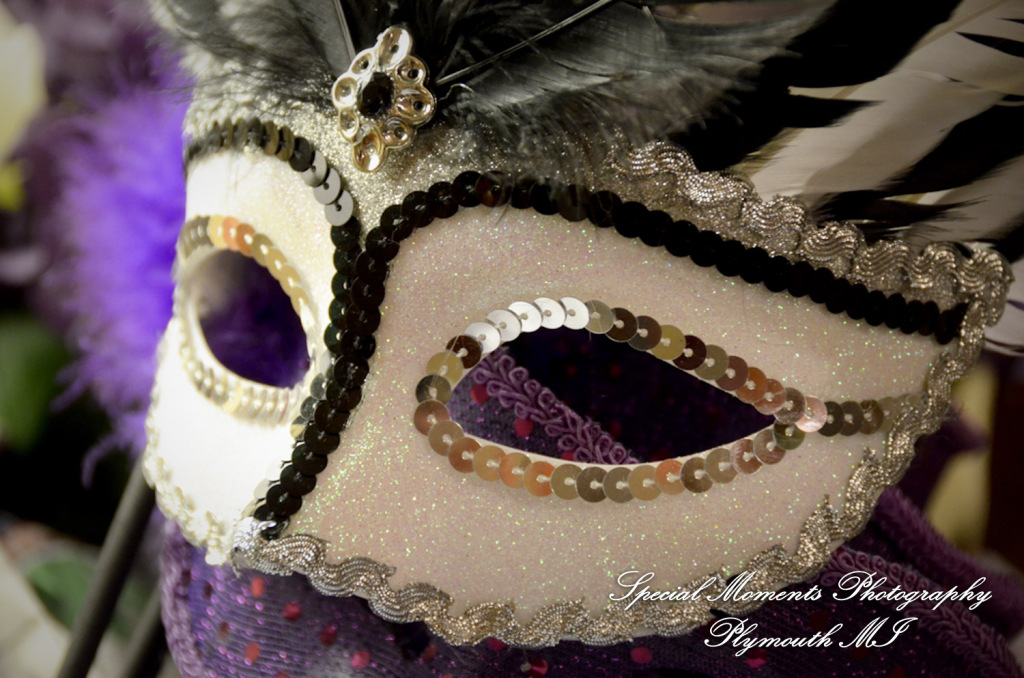 Sarah & Justin at Holiday Inn Express & Suites Southgate MI wedding photography