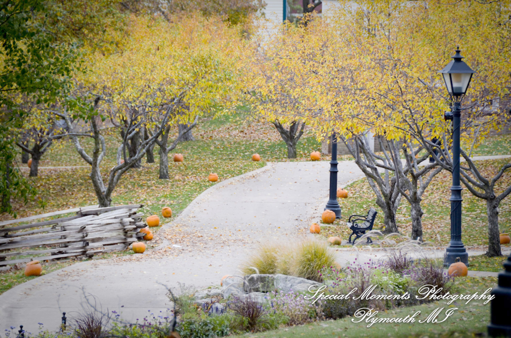Sarah & Justin at Martha-Mary Chapel Dearborn MI wedding photography