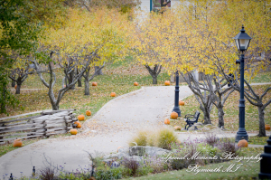 Sarah & Justin at Martha-Mary Chapel Dearborn MI wedding photography