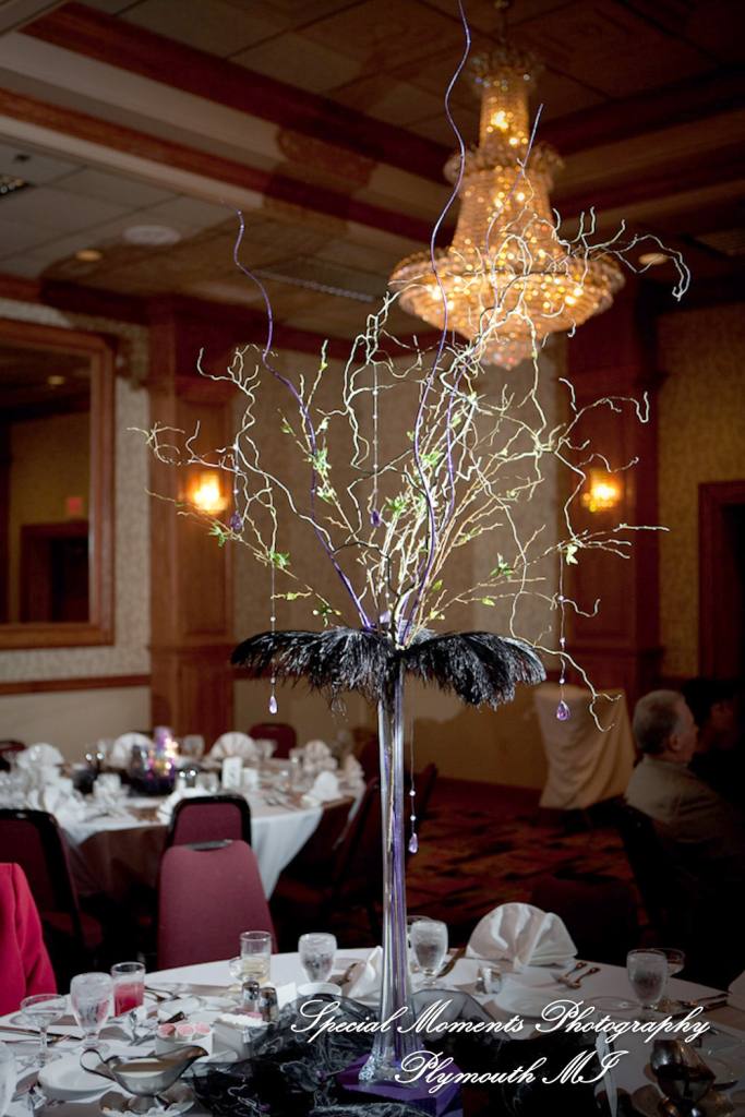 Sarah & Justin at Holiday Inn Express & Suites Southgate MI wedding photography